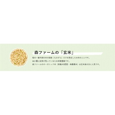 スプリングライス ミルキークィーン (玄米)10kg | 米 こめ コメ 10キロ _BI63