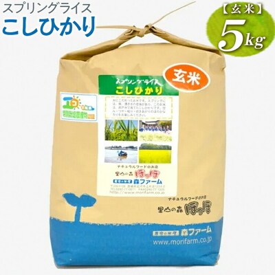 スプリングライス こしひかり (玄米)5kg | 米 こめ コメ 5キロ 玄米 _BI66