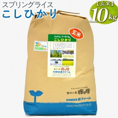 スプリングライス こしひかり (玄米)10kg | 米 こめ コメ 10キロ 玄米 _BI67
