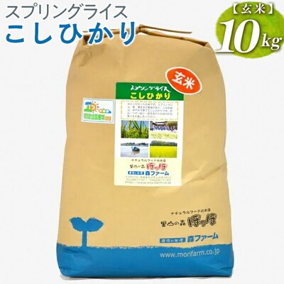 スプリングライス こしひかり (玄米)10kg | 米 こめ コメ 10キロ 玄米 _BI67