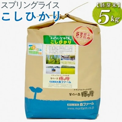 スプリングライス こしひかり (胚芽米)5kg | 米 こめ コメ 5キロ 胚芽米 _BI49