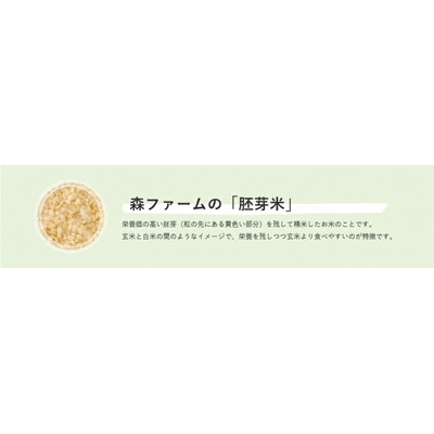 スプリングライス こしひかり (胚芽米)5kg | 米 こめ コメ 5キロ 胚芽米 _BI49