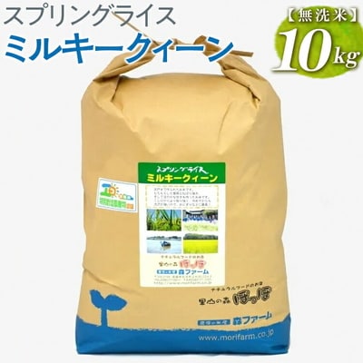 スプリングライス ミルキークィーン (無洗米)10kg | 米 こめ コメ 10キロ _BI37