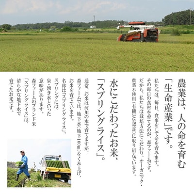 スプリングライス ミルキークィーン (白米)2kg | 米 こめ コメ 2キロ 精米 _BI21