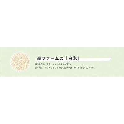 スプリングライス ミルキークィーン (白米)2kg | 米 こめ コメ 2キロ 精米 _BI21