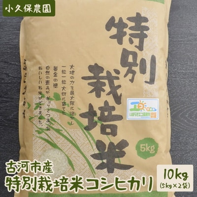 【令和7年産】古河市産 特別栽培米コシヒカリ10kg【小久保農園】 | 米 こめ コメ _AS04