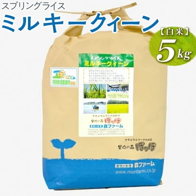 スプリングライス ミルキークィーン (白米) 5kg | 米 こめ コメ 5キロ 精米 _BI22