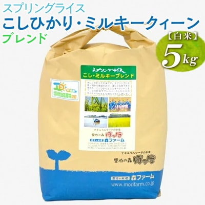 スプリングライス こしひかり・ミルキークィーン ブレンド (白米)5kg | 米 こめ _BI27