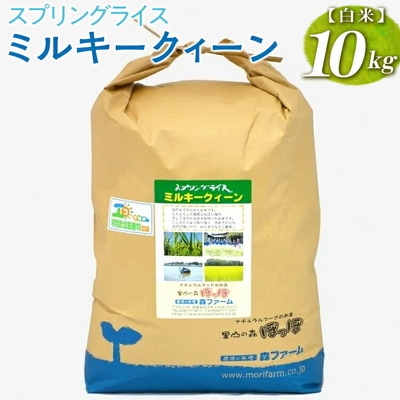 スプリングライス ミルキークィーン (白米)10kg | 米 こめ コメ 10キロ 精 _BI23