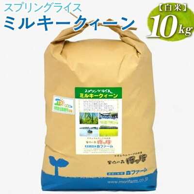 スプリングライス ミルキークィーン (白米)10kg | 米 こめ コメ 10キロ 精米 _BI23