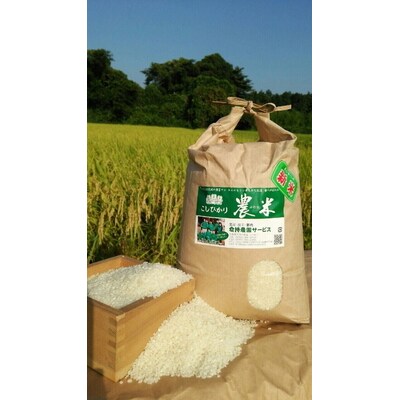 【定期便3か月】【新米】古河市産 コシヒカリ15kg【倉持農園】_AN06