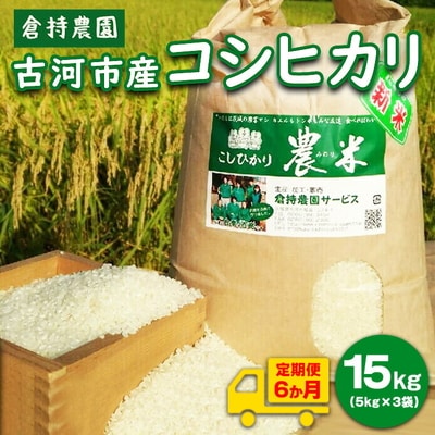 【定期便6か月】【新米】古河市産 コシヒカリ15kg【倉持農園】_AN07