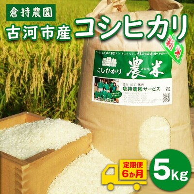 【定期便6か月】【新米】古河市産 コシヒカリ5kg【倉持農園】_AN09