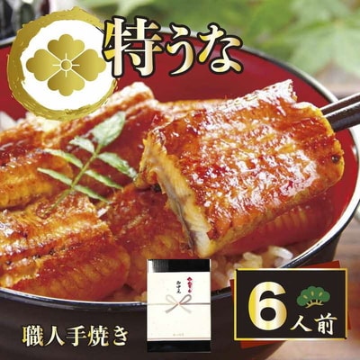 うなぎ蒲焼6人前(1人前約100g×6)贈答用パッケージ | うなぎ 鰻 ウナギ _AT20
