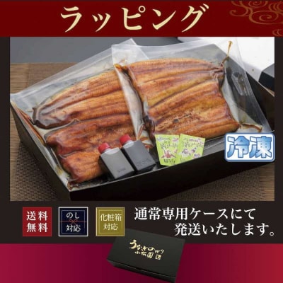 うなぎ蒲焼6人前(1人前約100g×6)贈答用パッケージ | うなぎ 鰻 ウナギ _AT20