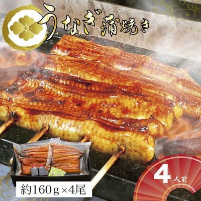 うなぎ蒲焼4人前(1人前約160g×4)贈答用パッケージ | うなぎ 鰻 ウナギ _AT21