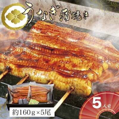 うなぎ蒲焼5人前(1人前約160g×5)贈答用パッケージ | うなぎ 鰻 ウナギ _AT22