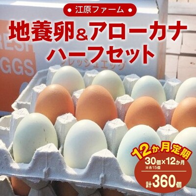 【定期便12か月】江原ファーム 地養卵&アローカナハーフセット(30個) | 卵 定期 _AG21