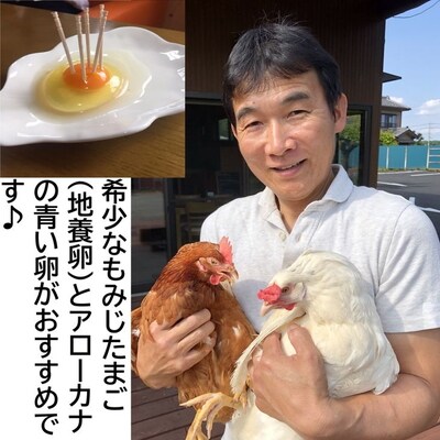 【定期便12か月】江原ファーム 地養卵&アローカナハーフセット(30個) | 卵 定期 _AG21