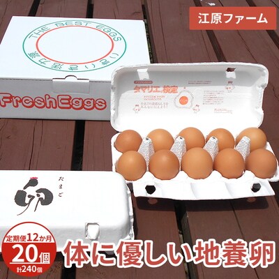 【定期便12か月】 江原ファーム 体に優しい地養卵(20個)|卵 たまご タマゴ _AG24