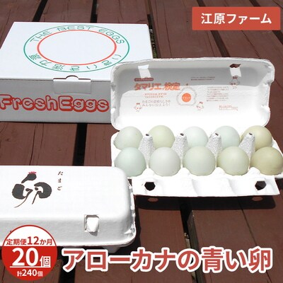 【定期便12か月】 江原ファーム アローカナの青い卵(20個)|卵 たまご タマゴ _AG30