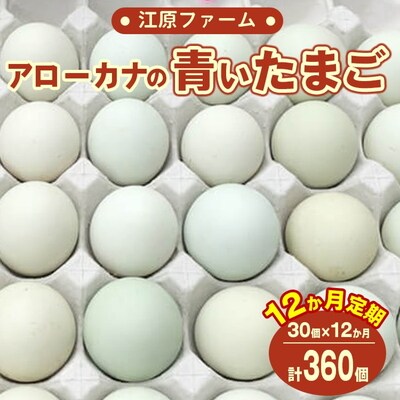 【定期便12か月】江原ファーム アローカナの青い卵(30個) | 卵 定期便 30個 _AG18