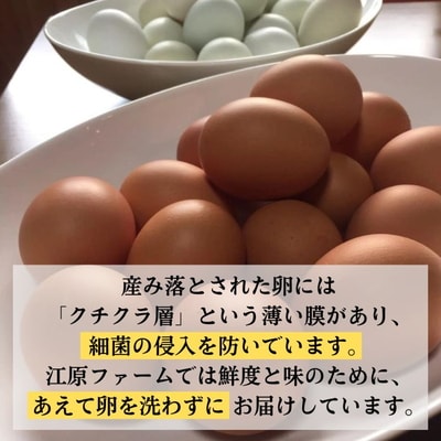 【定期便12か月】江原ファーム アローカナの青い卵(30個) | 卵 定期便 30個 _AG18