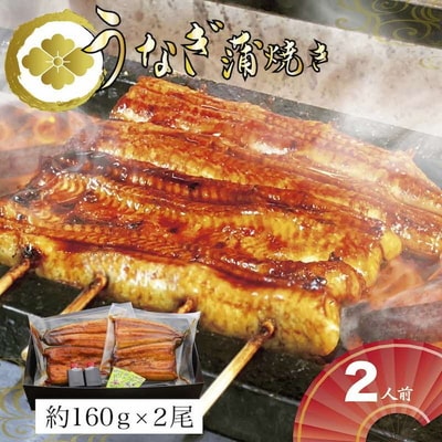 うなぎ蒲焼2人前(1人前約160g×2)贈答用パッケージ | うなぎ 鰻 ウナギ _AT02