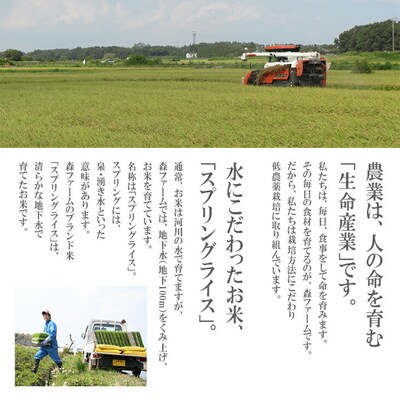 【新米】食べくらべ!特別栽培米 こしひかりとミルキークイーン5kgずつのセット | 米 _BI01