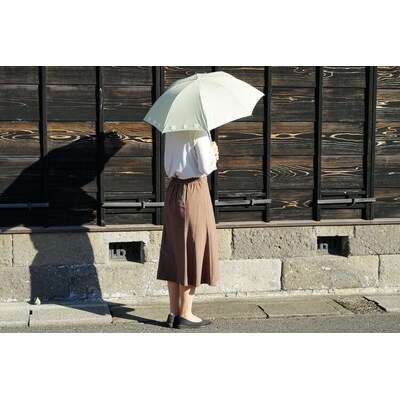 雪華模様の刺繍入り日傘(晴雨兼用・サイズ50cm・UV加工・麻50%綿50%)薄緑 _BL23