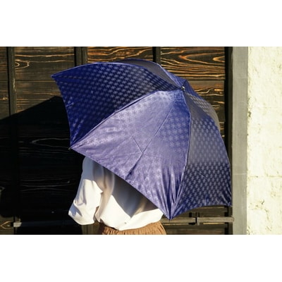 雪華模様の折り畳み傘(サイズ60cm)カラー:ネイビー | 傘 かさ 65センチ 雨具 _BL16
