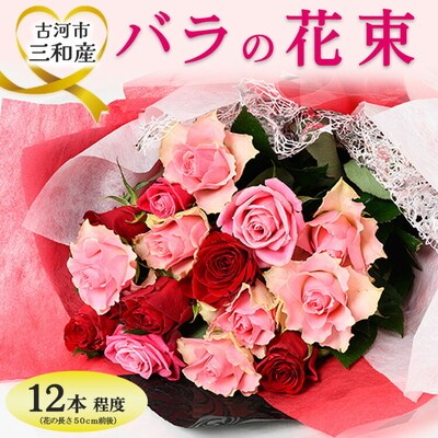 古河市三和産バラの花束 | 花 フラワー 生花 切り花 ばら 薔薇 ローズ 包装 _DP80