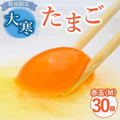 【先行予約】数量限定!大寒卵 赤玉30個入り(M玉)小久保ファーム ※2026年1月～発送_EI05
