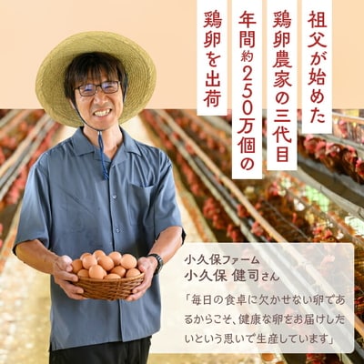 【先行予約】数量限定!大寒卵 赤玉30個入り(M玉)小久保ファーム ※2026年1月～発送_EI05
