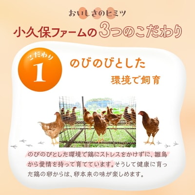 【先行予約】数量限定!大寒卵 赤玉30個入り(M玉)小久保ファーム ※2026年1月～発送_EI05