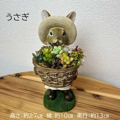 多肉植物の寄せ植え(うさぎ) | 観葉植物 植物 グリーン 多肉 寄せ植え 室内 _FC08