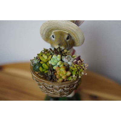 多肉植物の寄せ植え(うさぎ) | 観葉植物 植物 グリーン 多肉 寄せ植え 室内 _FC08