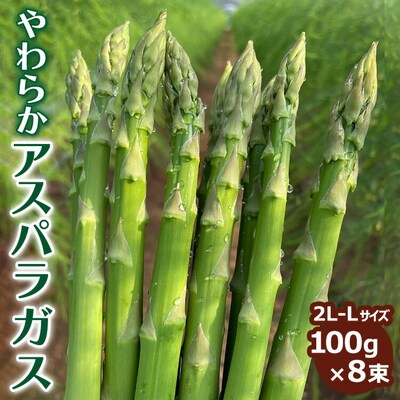 やわらかアスパラガス 100g×8束 ※2026年8月～発送|あすぱら アスパラ _FR02