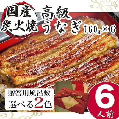 【緑×オリーブ】小松園のうなぎ蒲焼 ふろしき付(160g×6) | うなぎ 鰻 ウナギ _AT11