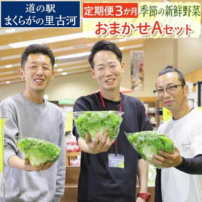 【定期便3か月】道の駅まくらがの里古河 季節の新鮮野菜おまかせAセット | 野菜 _BQ05