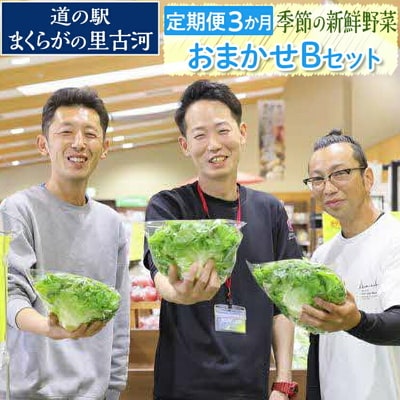 【定期便3か月】道の駅まくらがの里古河 季節の新鮮野菜おまかせBセット | 野菜 _BQ06