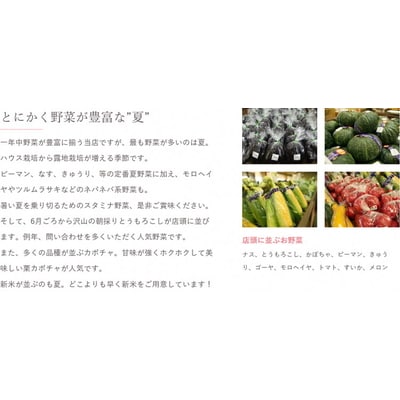 【定期便3か月】道の駅まくらがの里古河 季節の新鮮野菜おまかせBセット | 野菜 _BQ06