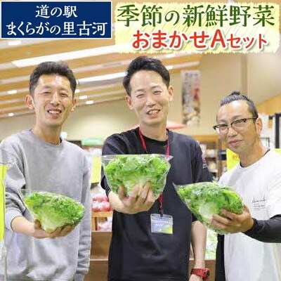道の駅まくらがの里古河 季節の新鮮野菜おまかせAセット | 野菜 おいしい 産地直送 _BQ03