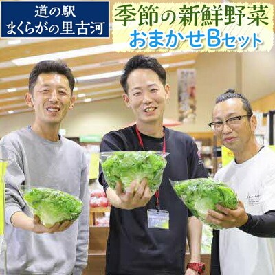 道の駅まくらがの里古河 季節の新鮮野菜おまかせBセット | 野菜 おいしい 産地直送 _BQ04