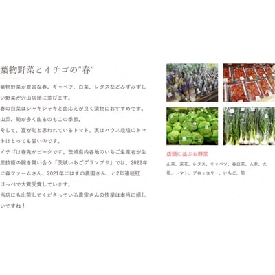 道の駅まくらがの里古河 季節の新鮮野菜おまかせBセット | 野菜 おいしい 産地直送 _BQ04