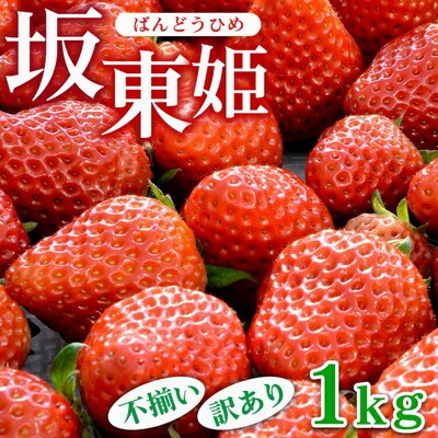 坂東姫 1kg 不揃い訳あり|いちご 苺 イチゴ 訳あり ※2025年12月～発送 _CB21