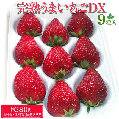 完熟うまいちごデラックス 9粒入 約380g | いちご イチゴ ※2026年1月～発送 _FR01
