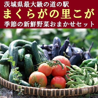 道の駅まくらがの里古河 季節の新鮮野菜おまかせセット _BQ02