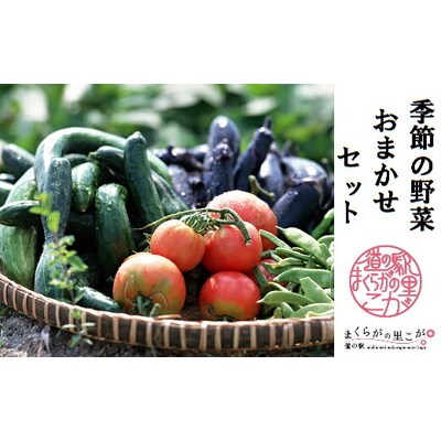 道の駅まくらがの里古河 季節の新鮮野菜おまかせセット _BQ02