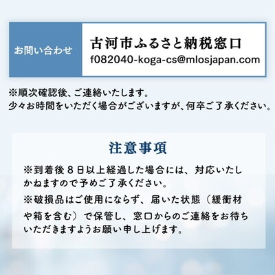 BLP-2518-T ボウルップ 耐熱ガラス 保存ボウル650 2個セット _FU92